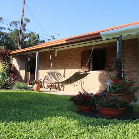 Casa Flor Da Laranjeira Pensionat Ponte de Lima Eksteriør billede
