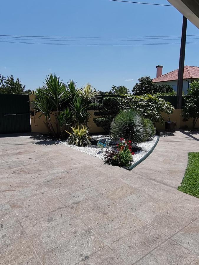 Casa Flor Da Laranjeira Pensionat Ponte de Lima Eksteriør billede